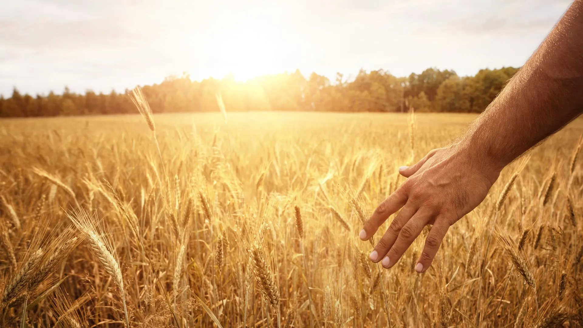 Somos o Maior Portal de Anúncios de Imóveis Rurais do Brasil. Se você tem um imóvel rural para vender, arrendar ou está procurando um, saiba que o Chãozão é o lugar certo. Porque de terra, a gente entende! Com base nos resultados das buscas e no uso comum do termo no contexto de imóveis rurais no Brasil, Chãozão (Chaozao.com.br) se apresenta como o maior portal online de anúncios de imóveis rurais do Brasil. Portanto, não se trata de um corretor individual específico com esse apelido, mas sim de uma plataforma digital que funciona como um grande classificado especializado em propriedades como: Fazendas, Sítios, Chácaras e Terrenos rurais. O que o Chãozão (portal) faz: 1. Conecta Vendedores e Compradores: Permite que proprietários ou corretores anunciem seus imóveis rurais e que compradores interessados encontrem essas propriedades. A negociação, segundo o portal, é feita diretamente entre as partes. 2. Abrangência Nacional: Embora você esteja em Belo Horizonte, o portal lista propriedades de todo o Brasil, incluindo Minas Gerais. 3. Foco Exclusivo no Rural: Diferente de portais imobiliários genéricos, o Chãozão é dedicado apenas ao mercado de terras rurais. 4. Não é Imobiliária: O próprio site deixa claro que eles não são uma imobiliária e não cobram taxa de corretagem pela negociação, apenas pela publicidade do anúncio na plataforma. Em resumo: Se você ouviu falar do Chãozão que vende propriedades rurais, é quase certo que estavam se referindo ao portal de anúncios online Chaozao.com.br. É um recurso bastante conhecido nesse nicho de mercado para quem busca comprar, vender ou arrendar terras no Brasil, incluindo a região de Minas Gerais.
