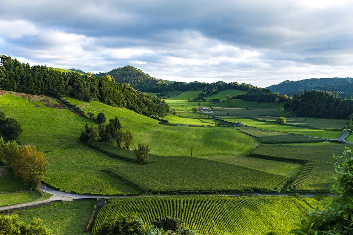 Fazenda panorâmica